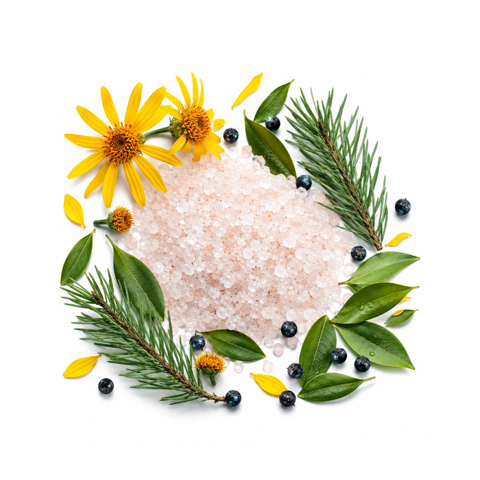 Pink Epsom bath salt crystals with arnica flowers, pine needle sprigs, myrtle leaves, and dark berries on a clean white background