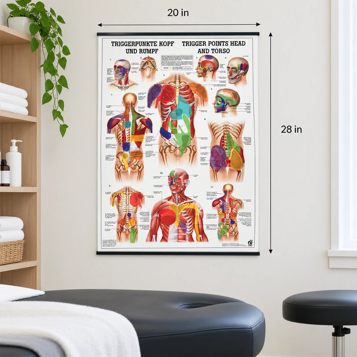 Head and Torso Trigger Point Chart displayed in massage therapy clinic