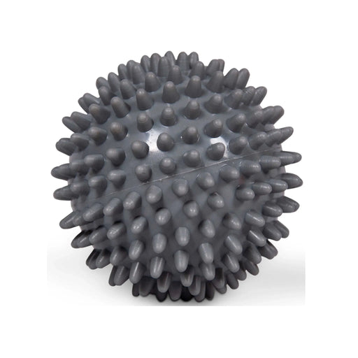 Gray spiky ball on a white background