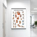 Laminated joints and ligaments poster hanging on the wall, displaying clear anatomical views of major human joints and their ligaments.