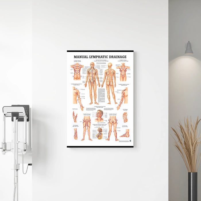 Manual Lymphatic Drainage Laminated Poster hanging on the wall