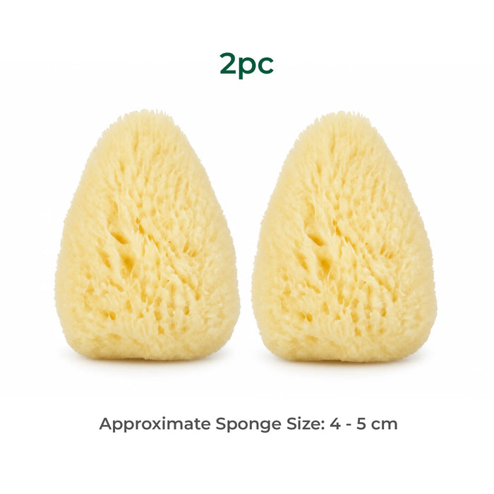 Natural Cosmetic Sponge 2pc