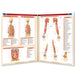 An anatomical chart poster showing human musculature of the arm and hand, displayed in an open-book layout on a white background.