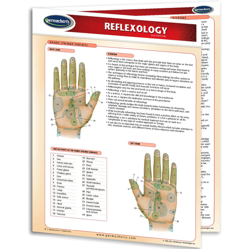 Permacharts reflexology permachart front view shows hands palmar surface
