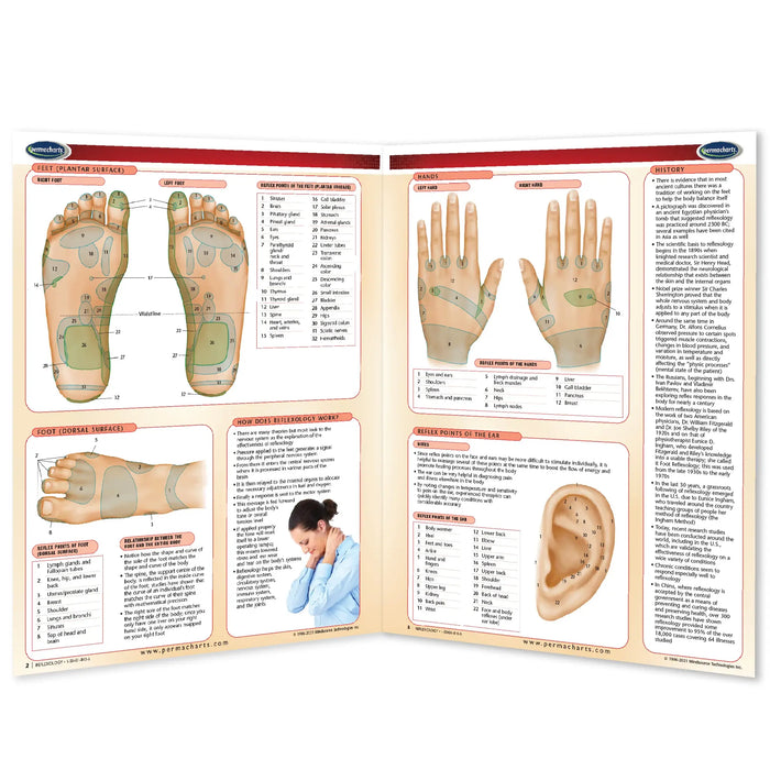 An open educational reference book displaying pages on reflexology, with labeled diagrams of feet, hands, and an ear, plus text sections and a small inset photo of a person pressing their foot.