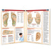 An open educational reference book displaying pages on reflexology, with labeled diagrams of feet, hands, and an ear, plus text sections and a small inset photo of a person pressing their foot.