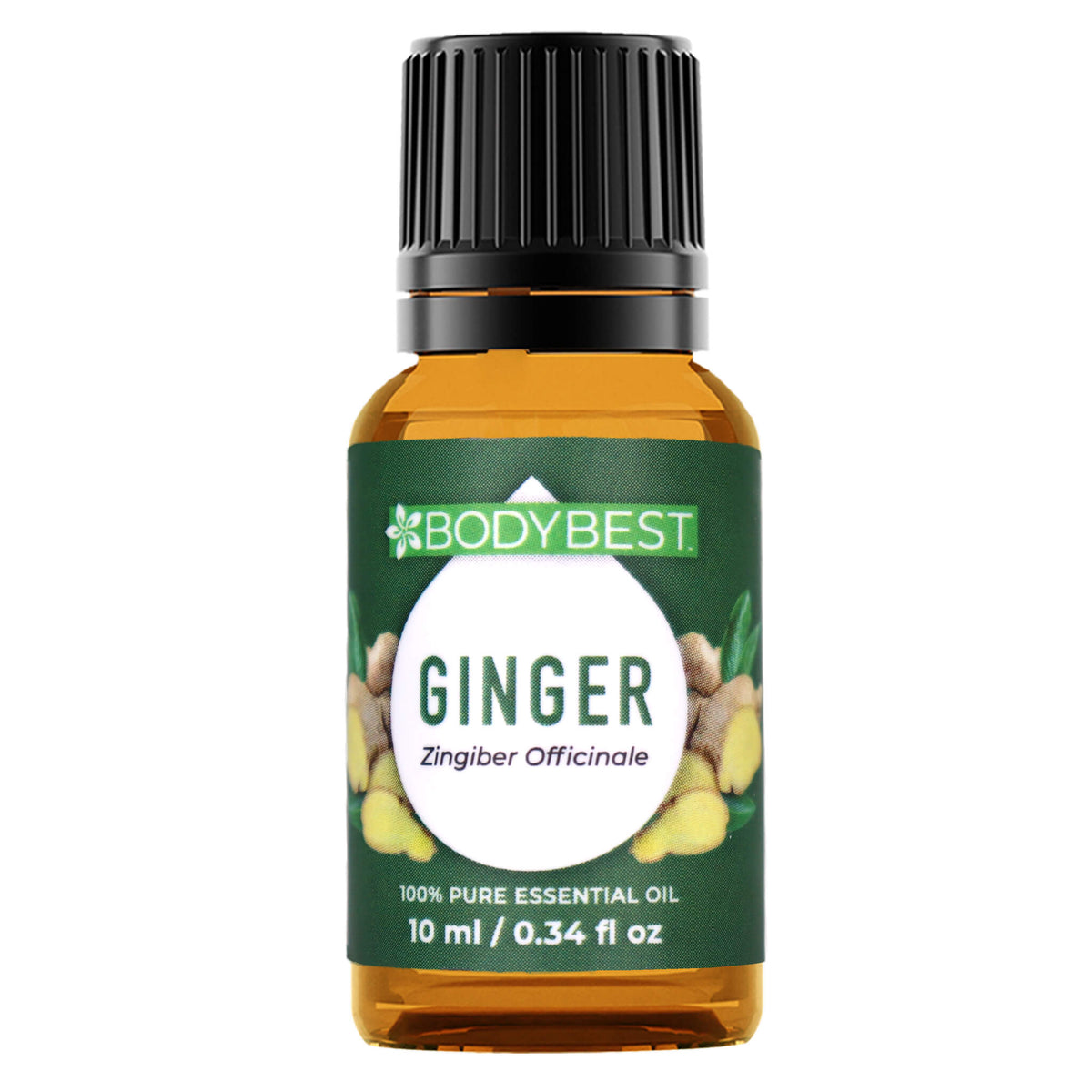 Ginger Essential Oil for Nausea, Cold and Cough Body Best