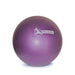 Sissel Pilates Fit Ball