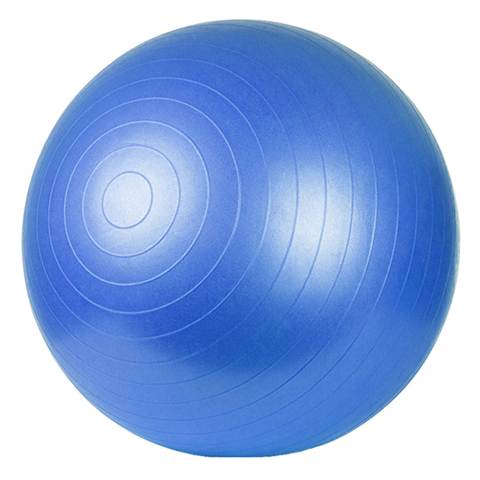 TheraBand Pro Series Exercise Ball Blue 75cm out of box and inflated