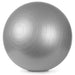 TheraBand Pro Series Exercise Ball Silver 85 cm inflated and out of box