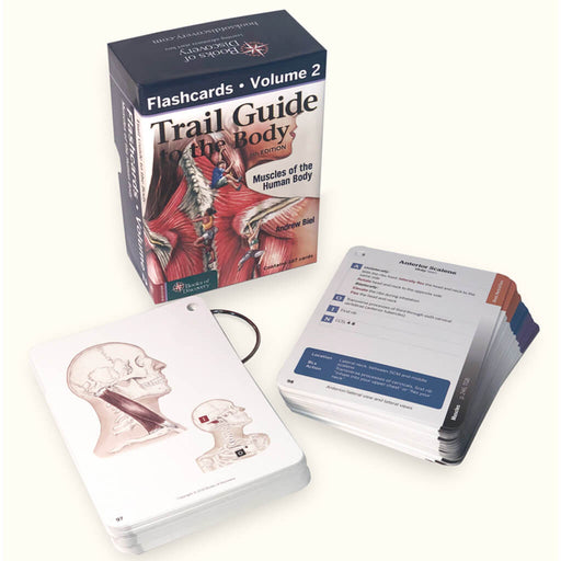Trail Guide to the Body Flash Cards Vol 2 - 6th Edition cards out of box on ring